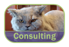 Aunt Stacey's Consulting Page