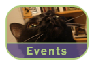 Aunt Stacey's Events Page
