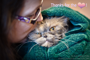 Aunt Stacey and Daisy the Persian