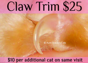 Claw Trim $25