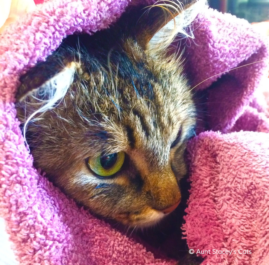 Kai wrapped in a towel after her bath